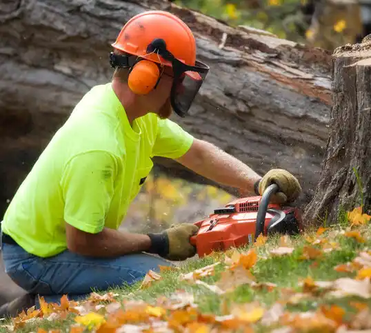 tree services Green